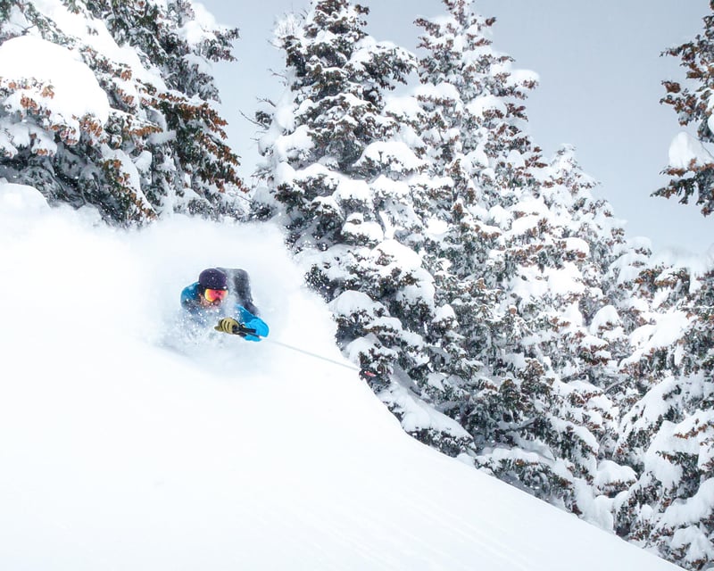 Full-Day Guided Ski Touring In The Wasatch