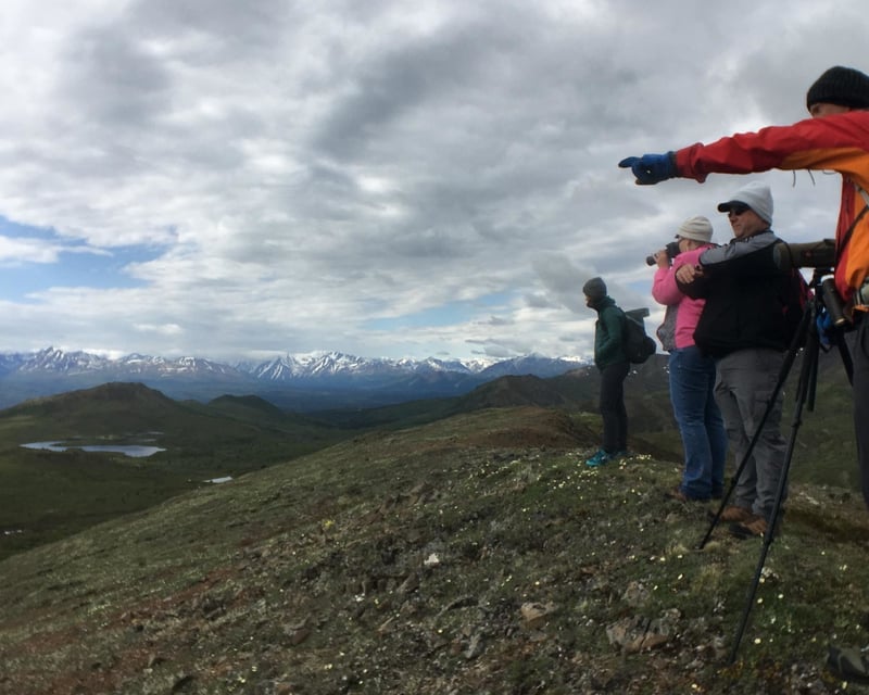 Denali National Park Helicopter Hiking Tour