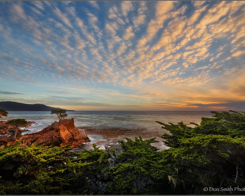 17-Mile Drive Guided E-Bike Tour From Monterey
