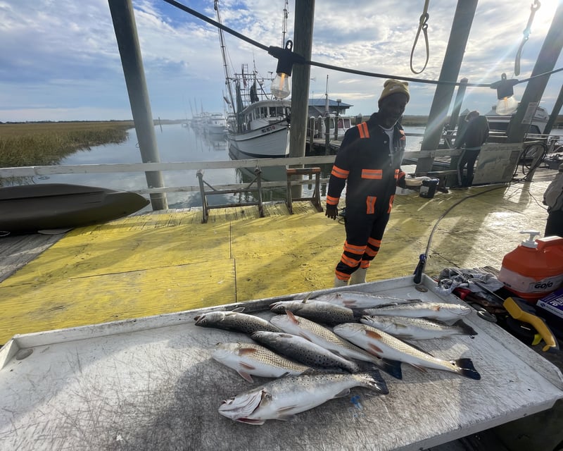 4-Hour Inshore Fishing Charter Tybee Island