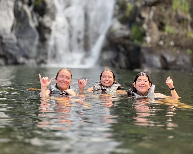 Full-Day Oahu Circle Island Tour & Waimea Falls Swim