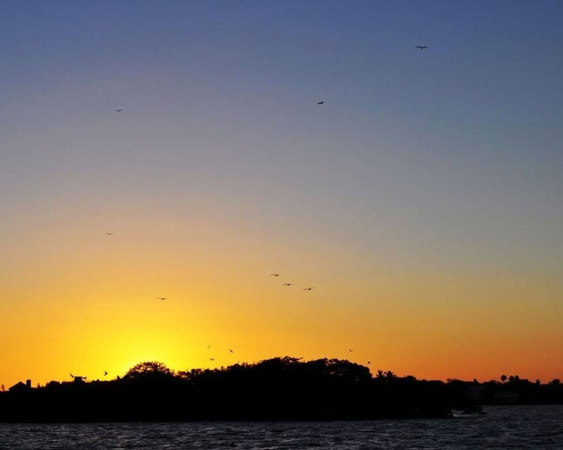 Fort Myers Beach Dolphin & Sunset Boat Tour