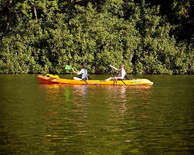 5-6-Hour Wailua River Kayak & Hike Tour