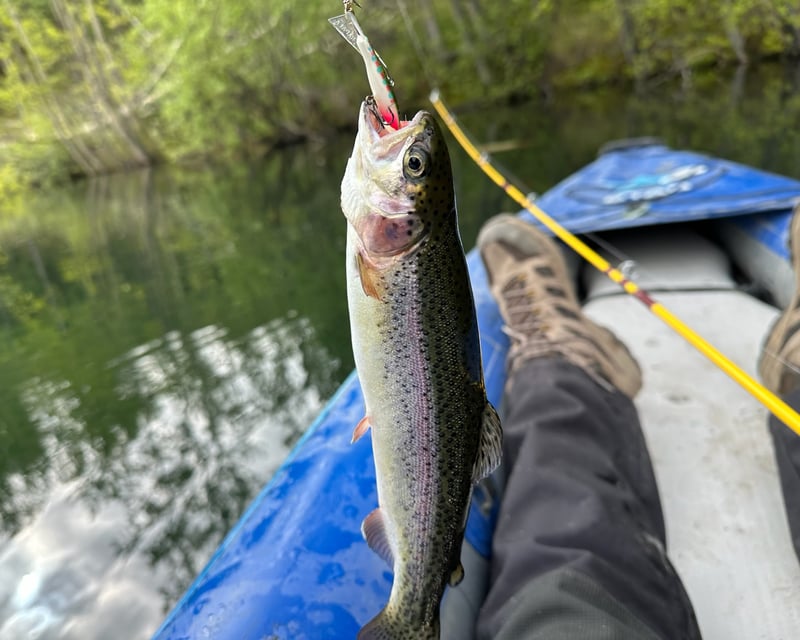 Wasilla 3-Hour Guided Kayak Fishing Tour
