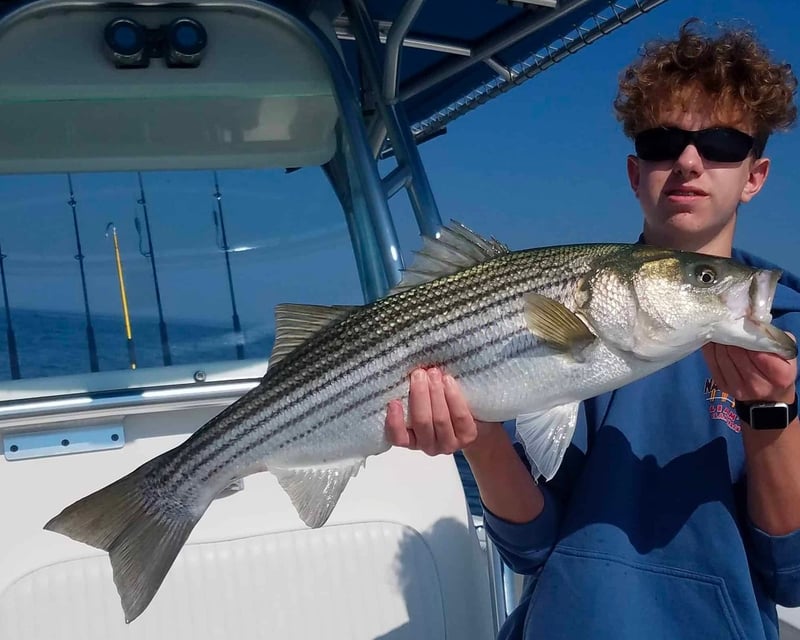 Private Half-Day Striped Bass Fishing Charter on Cape Cod