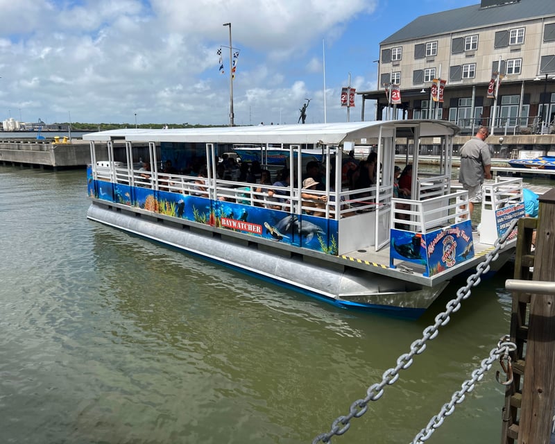 Galveston 45-Minute Dolphin Harbor Cruise