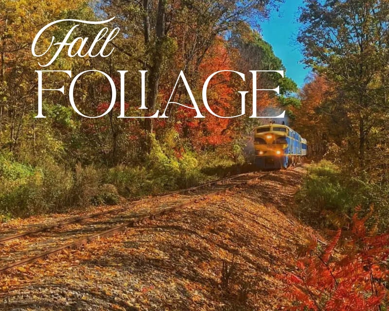Fall Foliage Train Ride in Gowanda