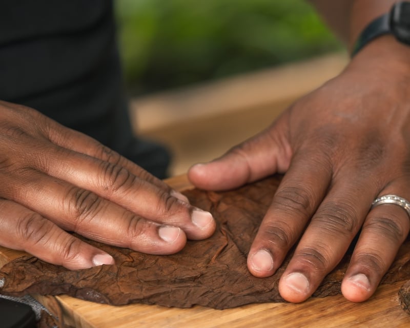 Tobacco Farm Cigar Rolling in Río Grande, Puerto Rico