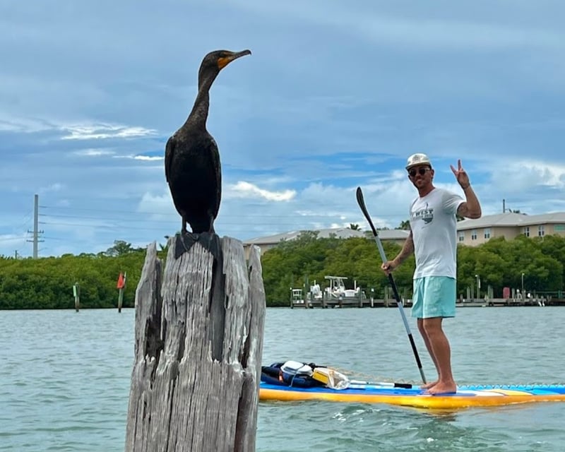 Key West 2-Hour Paddleboard Rental