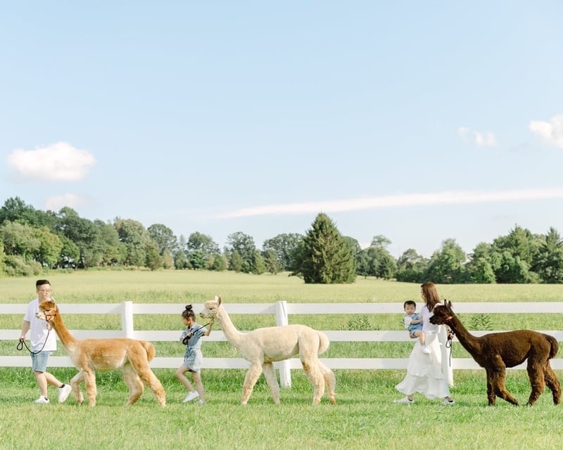 Private Alpaca Farm Visit in Peapack