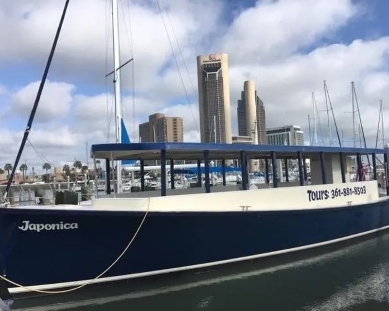 Corpus Christi Bay Sightseeing Cruise on 50' Open-Air Boat