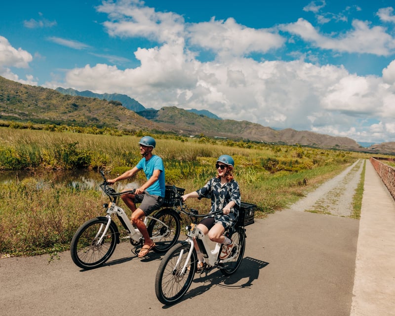 Half-Day E-Bike Food & Sightseeing Tour in Kailua