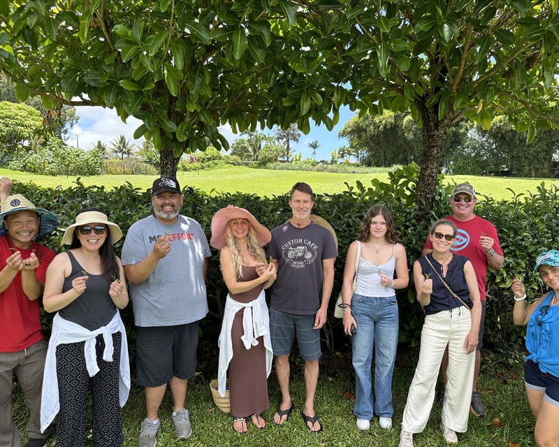 Tea & Pineapple Farm Tour in Papaikou, Hawaii