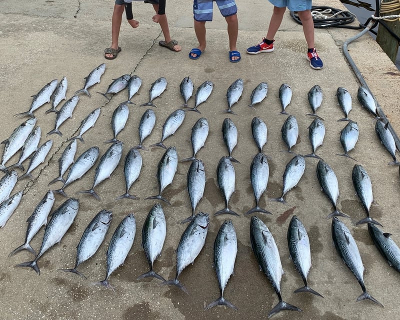 4-Hour Panama City Beach Fishing Charter