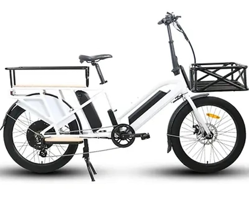Waikiki Cargo E-Bike Rental