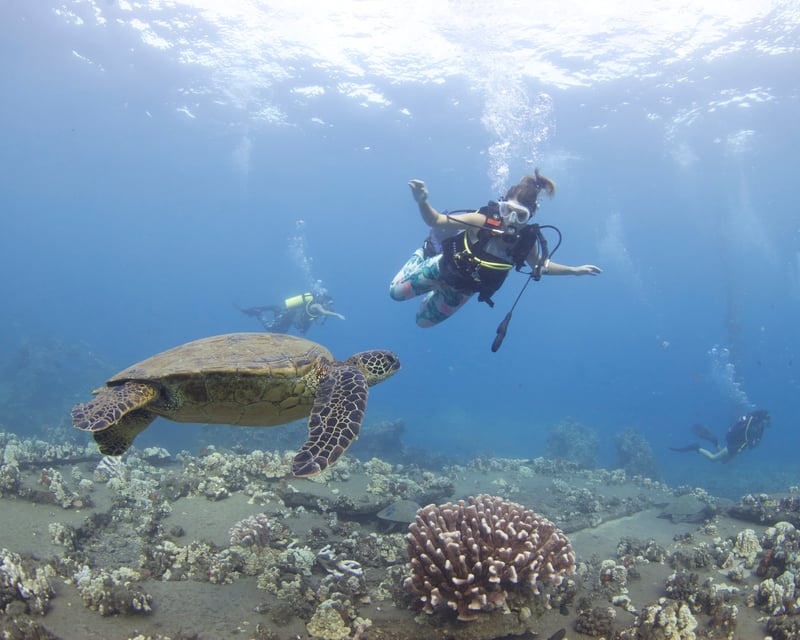 PADI Discover Scuba Shore Dive in Lahaina, Maui