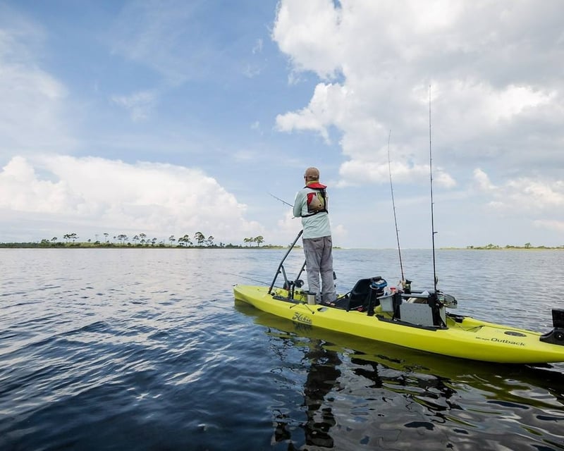 6-Mile Wakulla River Kayak, Canoe & SUP Rental