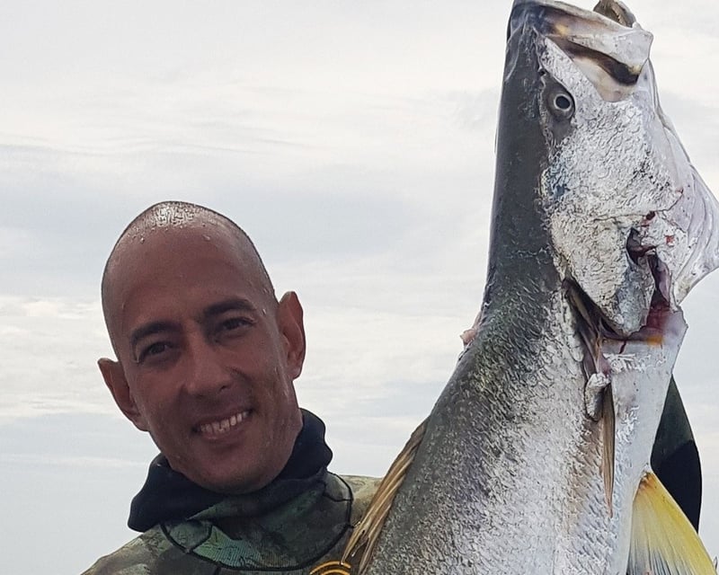 4-Hour Freediving Training at Crandon Park Marina