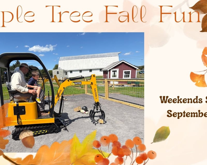 Farm Fall Festival & Corn Maze in Warrenton, VA