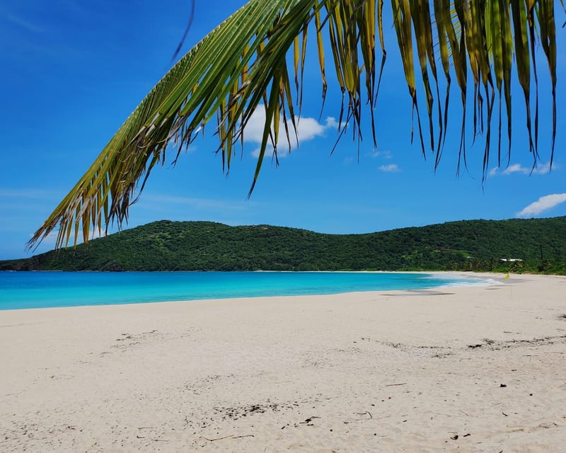 Round-Trip Shuttle From San Juan to Ceiba Ferry