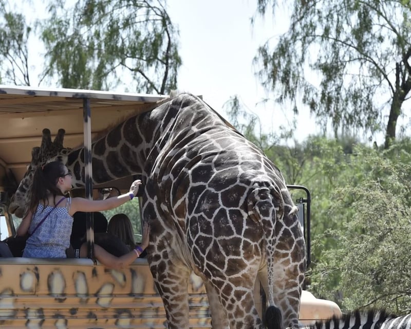 Out of Africa Wildlife Park Entry Ticket in Camp Verde