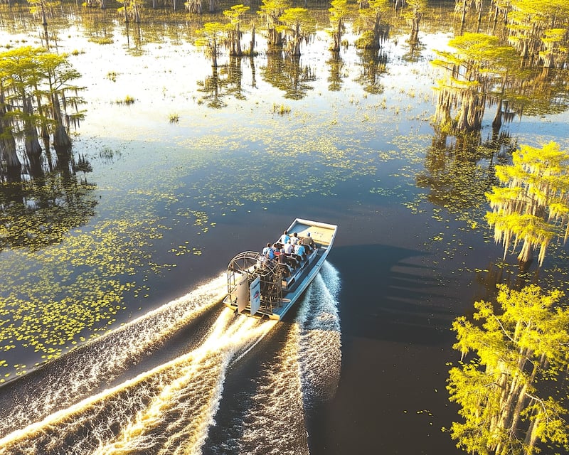 Everglades Airboat Tour with Transport from Miami Beach
