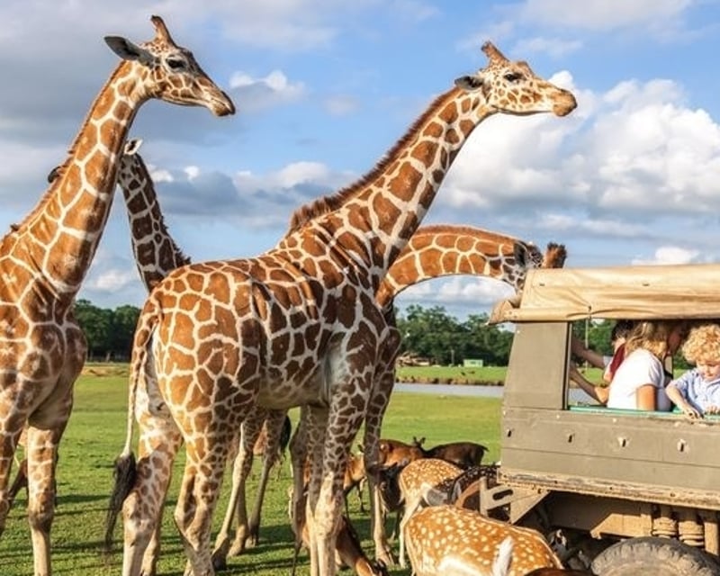 Wildlife Safari Tour in Folsom's 900-Acre Preserve