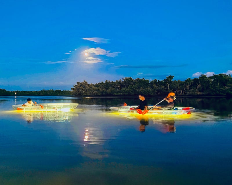 Anna Maria Island Sound Glow Kayak Tour