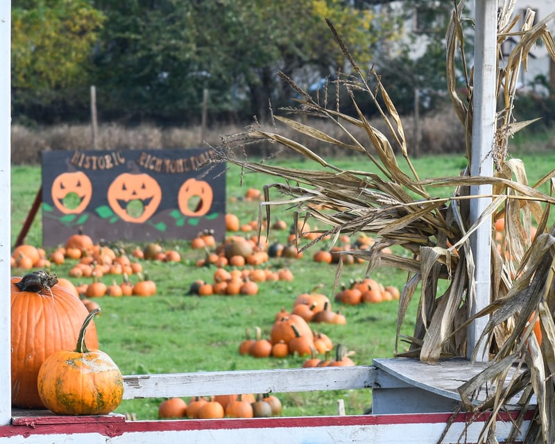 Staten Island Pumpkin Picking at Historic Decker Farm