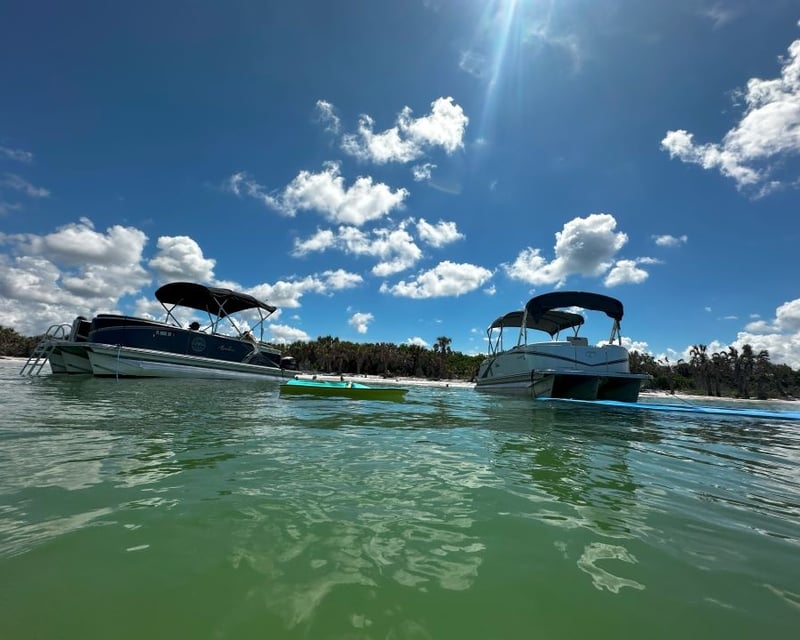 4-Hour Pontoon Charter in Clearwater