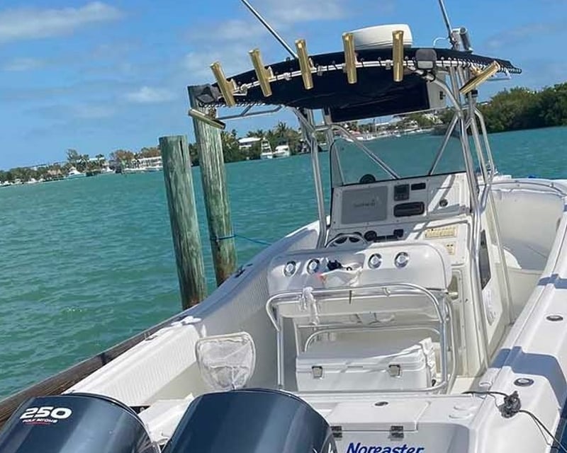 Seasonal Tarpon Fishing Charter in Marathon
