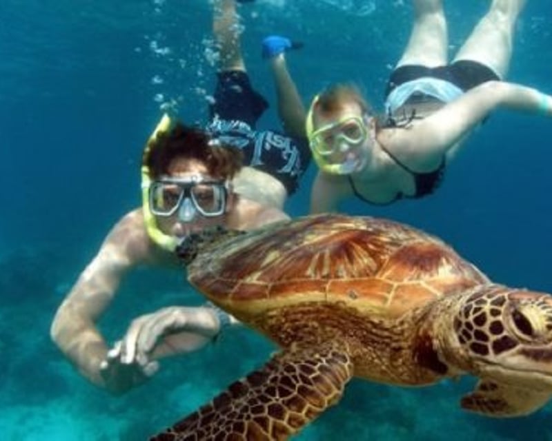 Private Snorkeling Charter in Key West