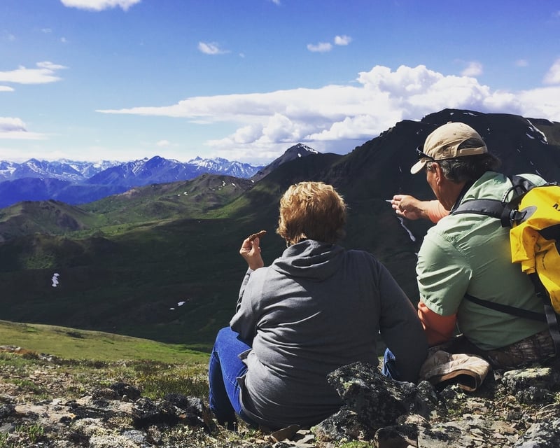 3-Hour Guided Nature Walk in Denali