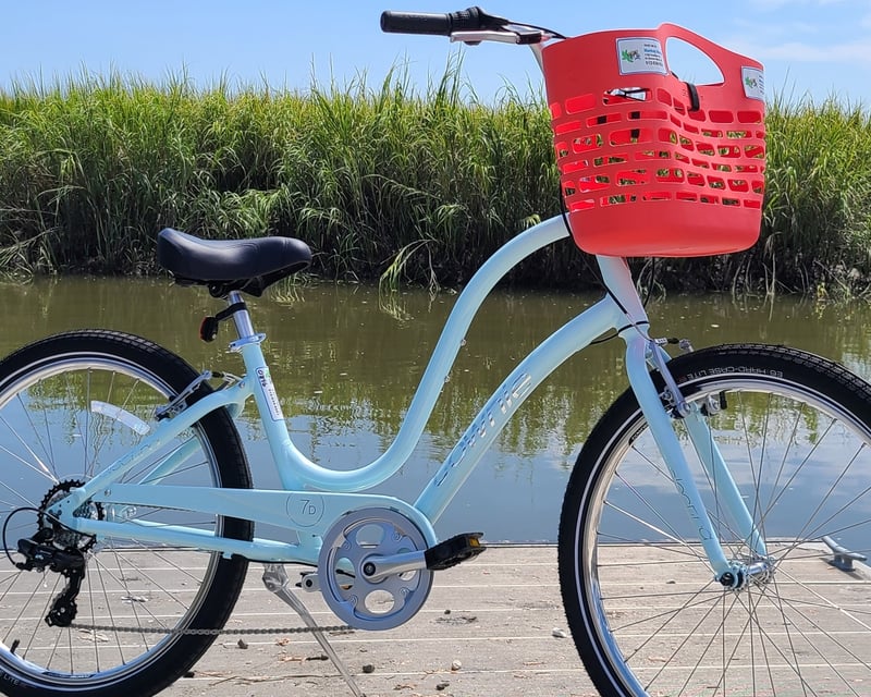 1-Day Bike & E-Bike Rental in St. Simons Island
