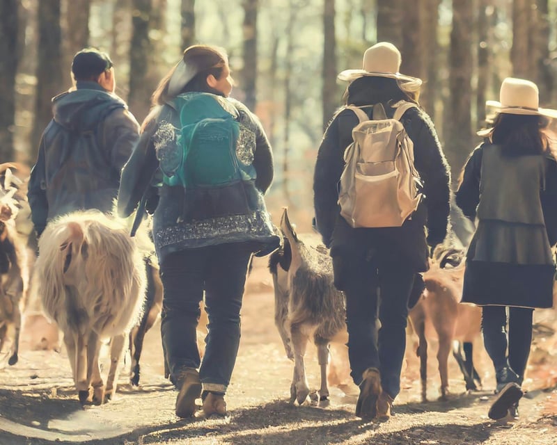 Private Baby Goat Hike & Cuddle in Northborough, MA