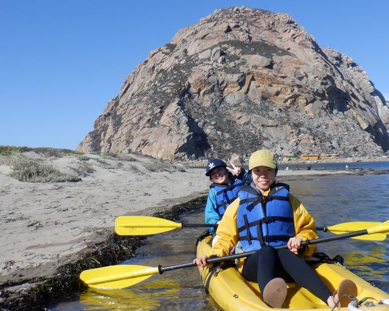 Guided Morro Bay Wildlife Kayak Tour