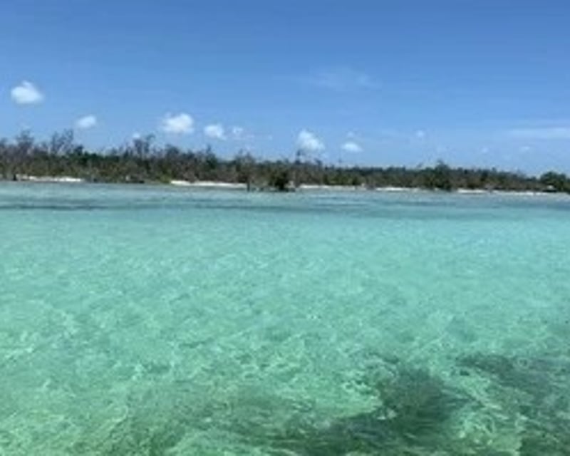 Key West Snorkel & Sandbar Charter on a 38' Fountain Boat