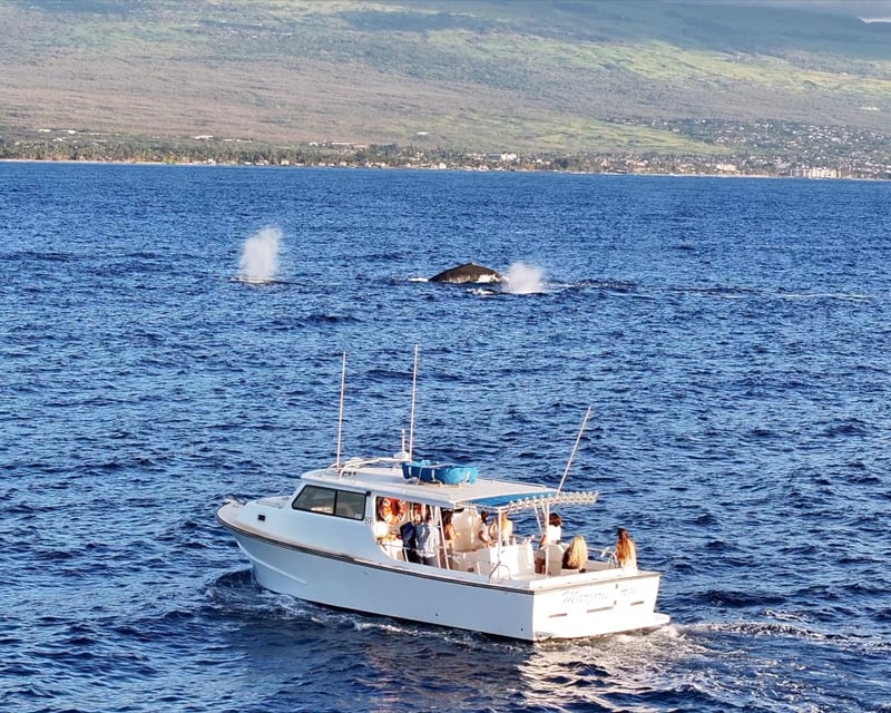 Private Fishing & Snorkeling Charter in Maalaea, Maui
