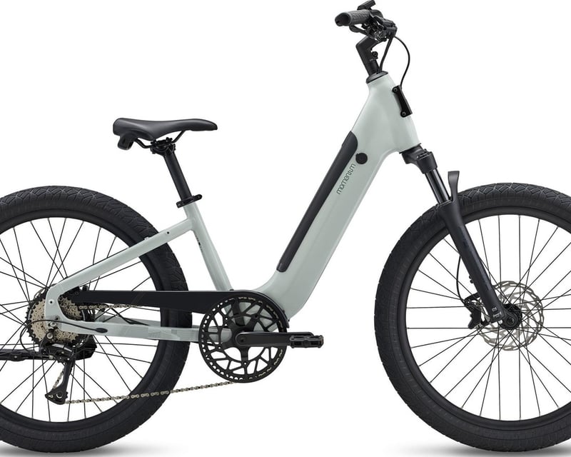 Full-Day E-Bike Rental in River Falls, WI