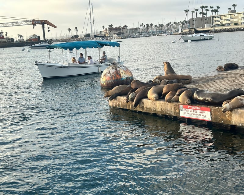 Electric Duffy Boat Rental in Redondo Beach