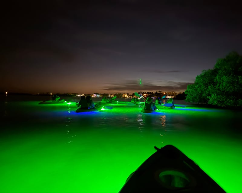 LED Night Clear-Bottom Kayak Tour in Sarasota