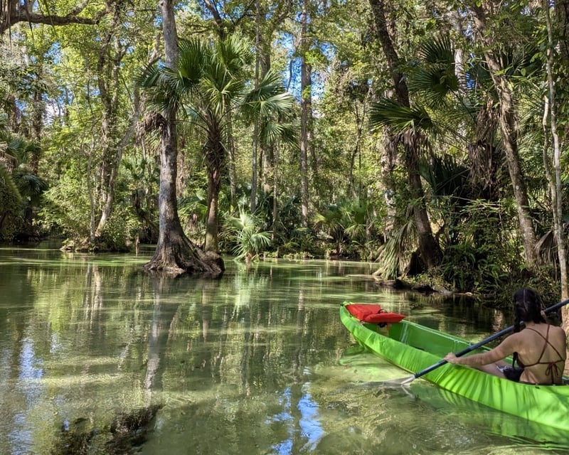 2-Hour Clear-Bottom Kayak Tour in Apopka
