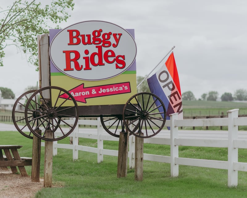 Amish Country Carriage Tour in Bird in Hand