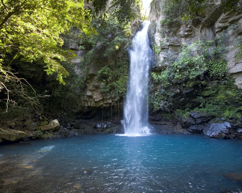 Private La Cangreja Waterfall Hike in Rincón de la Vieja