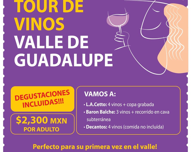 3-Winery Valle de Guadalupe Wine Tour