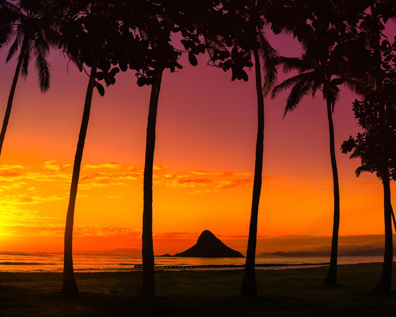 Oahu Circle Island Tour & Turtle Beach Snorkeling