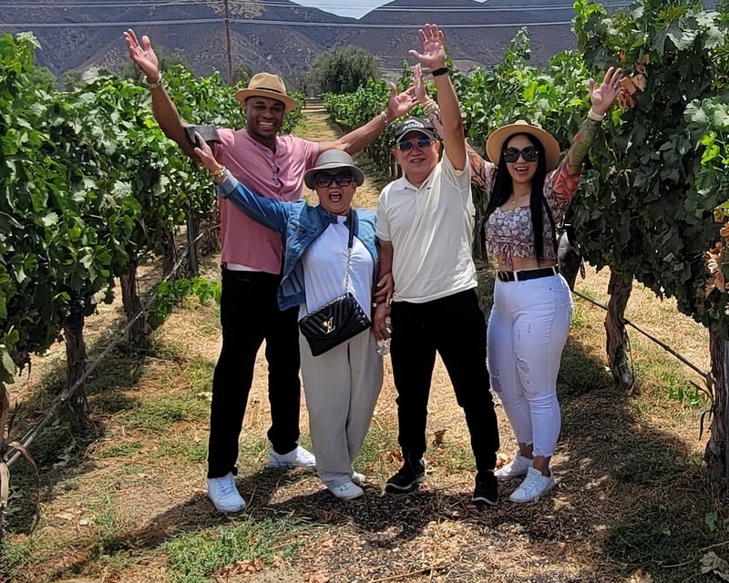 Temecula 3-Winery Guided Wine Tour