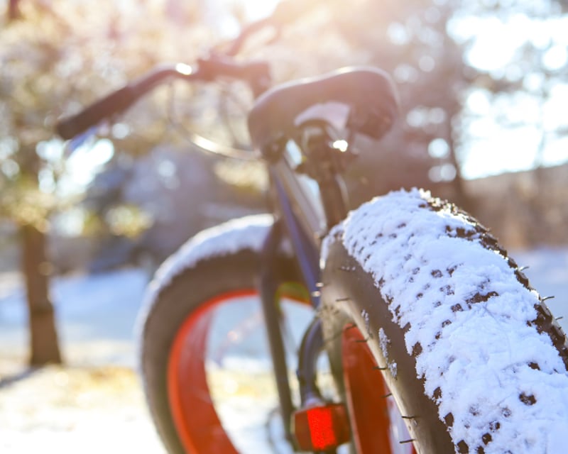 Full-Day Winter Fat Tire Bike Rental in Duluth