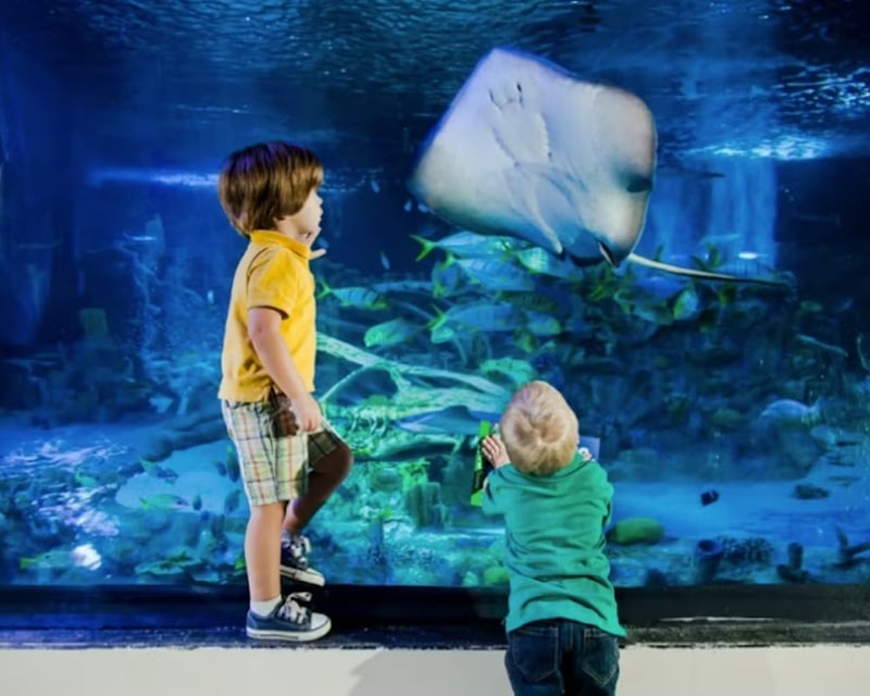 Sea Life Grapevine Aquarium Entry with Shark Tunnel