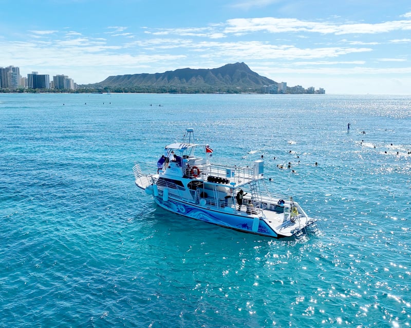 Private 2-Hour Honolulu Cruise to Turtle Canyon
